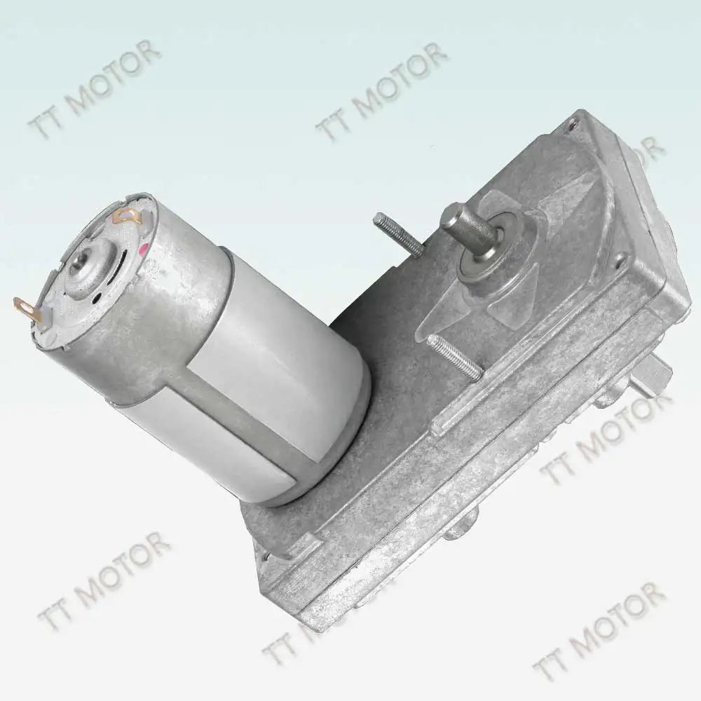 12v Dc Motor with Gear Reduction of Gm100f-555pm 