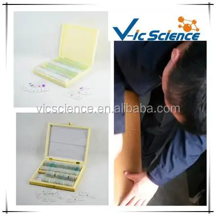 prepared slides Package&Shipment.jpg