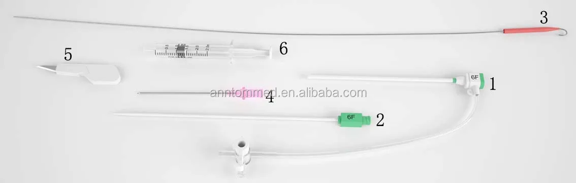 6f Catheter Transradial Femoral Set Sheath Introducer - Buy Introducer ...