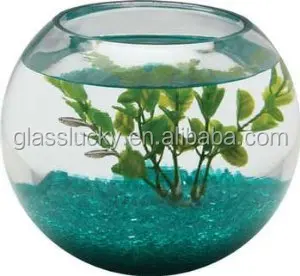 ガラス製の魚鉢と水槽丸型ガラスを手吹きで卸売り Buy 卸売ガラスの金魚鉢 ガラスの金魚鉢 魚のタンクのラウンドガラス Product On Alibaba Com ガラス製の魚鉢と水槽丸型ガラスを手吹きで卸売り Buy 卸売ガラスの金魚鉢 ガラスの金魚鉢 魚のタンクのラウンドガラス Product On Alibaba Com