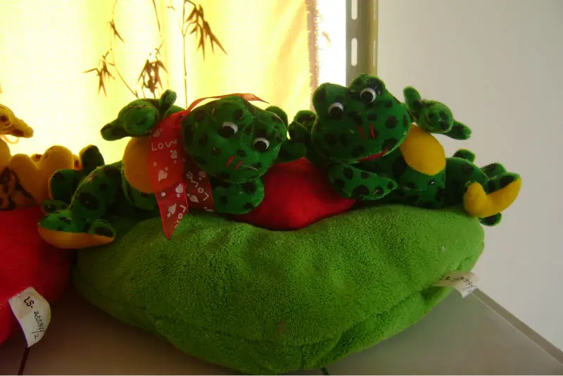 green stuffed frog