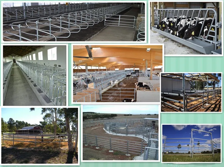 galvanized pig farm house