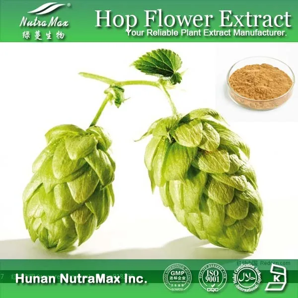 Manufacturer Supply High Quality Hop Flower Extract/ Hop Extract Powder