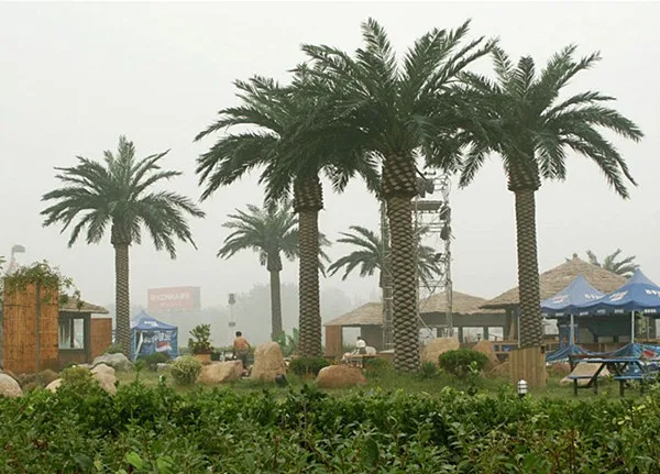 Indoor&Outdoor Artificial Middle East Date Palm Tree In Dubai (3)
