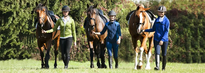 equestrian garment bolsa