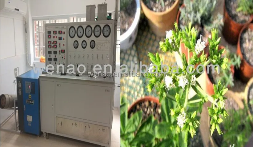 Stevia_Rebaudiana_Extract_Supercritical_CO2_Fluid_Extraction