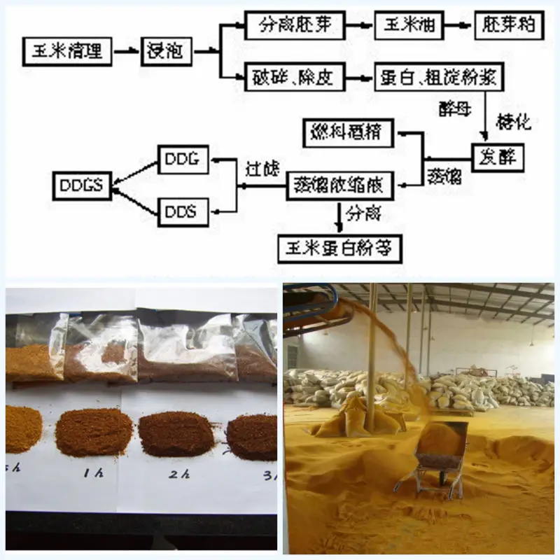 Protein 28 Ddgs Animal Feed Buy Ddgs Animal Feed,Ddgs Feed,Ddgs