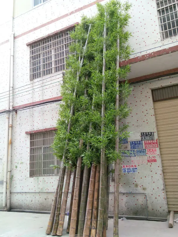 Tronco Real Barato Al Aire Libre De Alta Calidad,Bambú Artificial De La