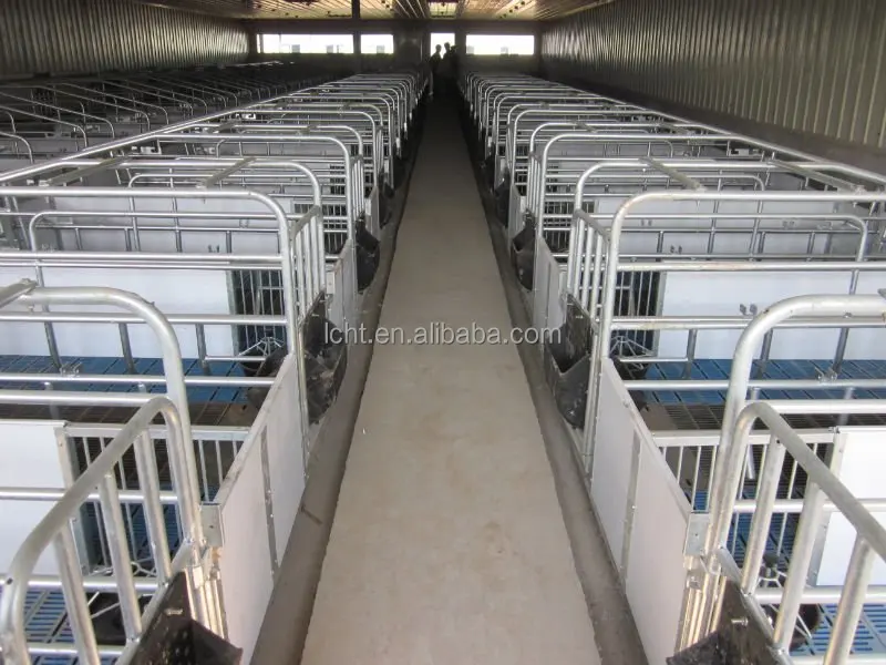 2020 Hot Sale Gaotang Farrowing Crate Piggery Farm Design Photos Buy