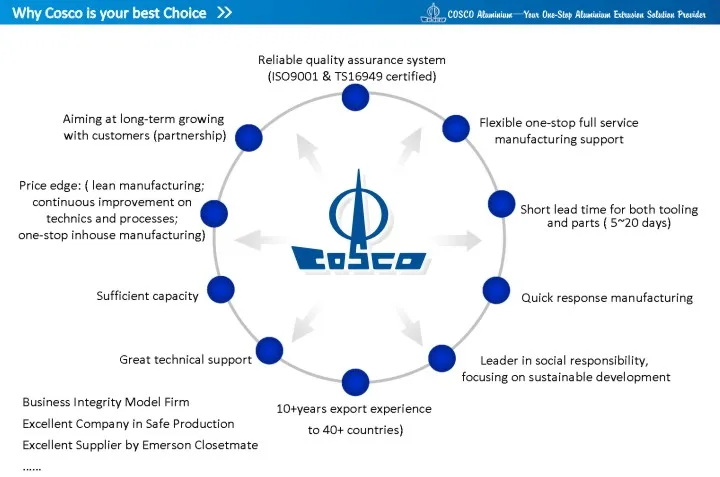 7.CoscoB2B-EN-Why Cosco.jpg