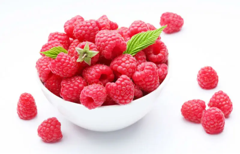 product name:raspberries fruit extract raspberry ketone