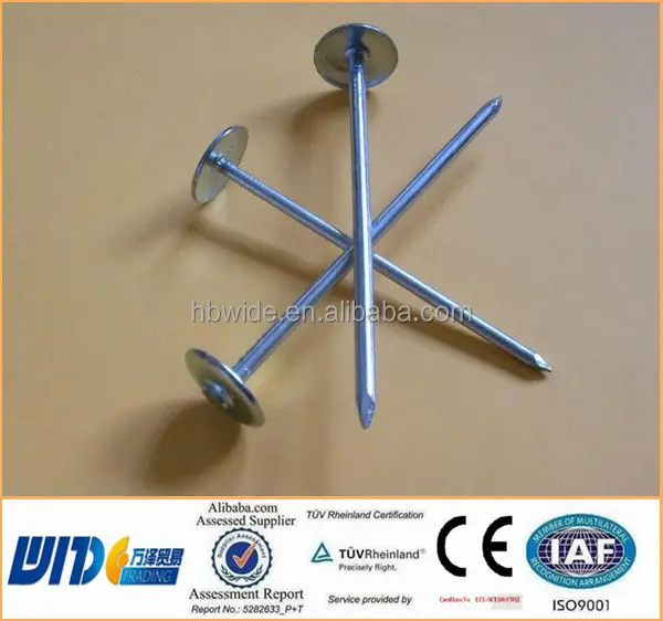 Lead Head Nail With Plastic Washer In Rigid Quality Procedures