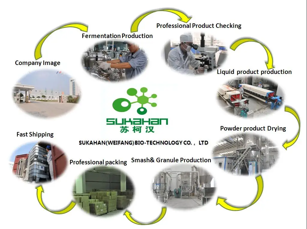 69813ed8f6e204bdef148cffc72a935d