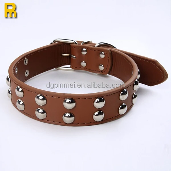 special dog collars