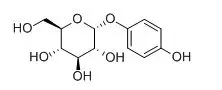 α熊果苷CAS号84380-01-8