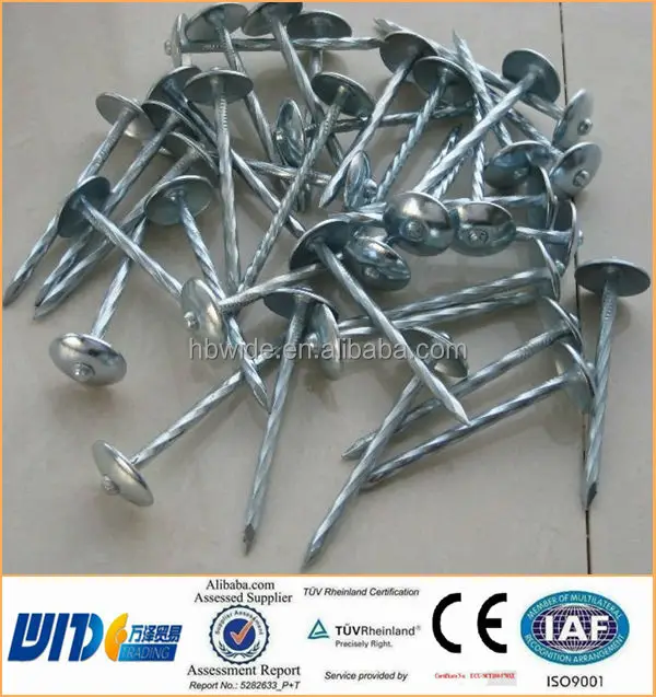 Lead Head Nail With Plastic Washer In Rigid Quality Procedures