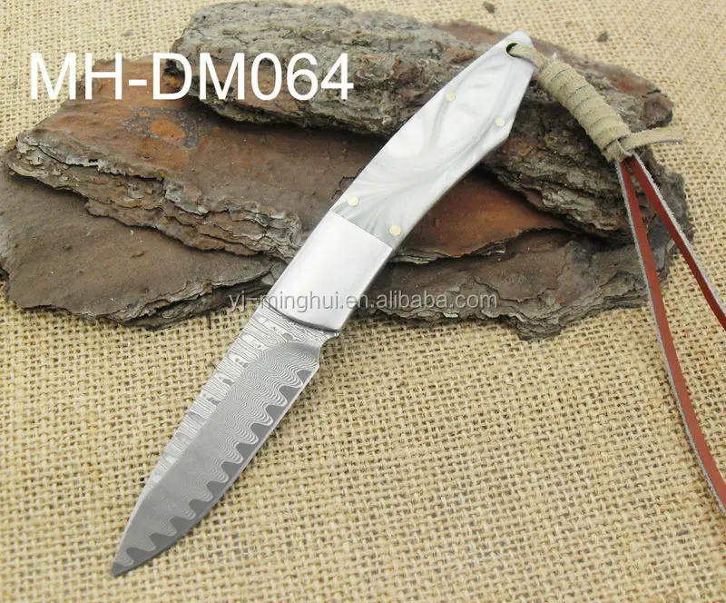 MH-DM064.JPG