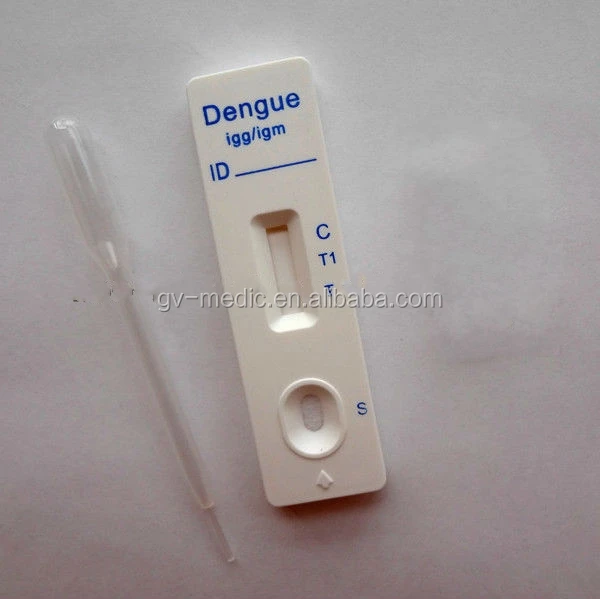 dengue2