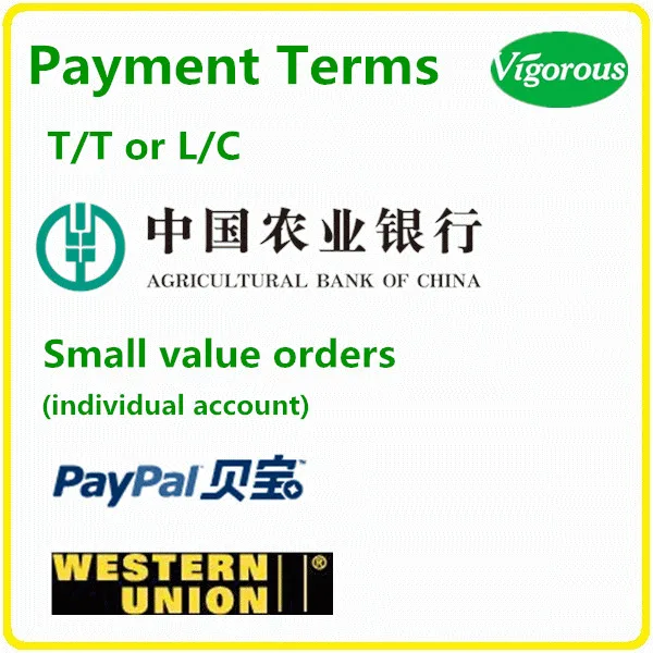 payment terms lv.jpg