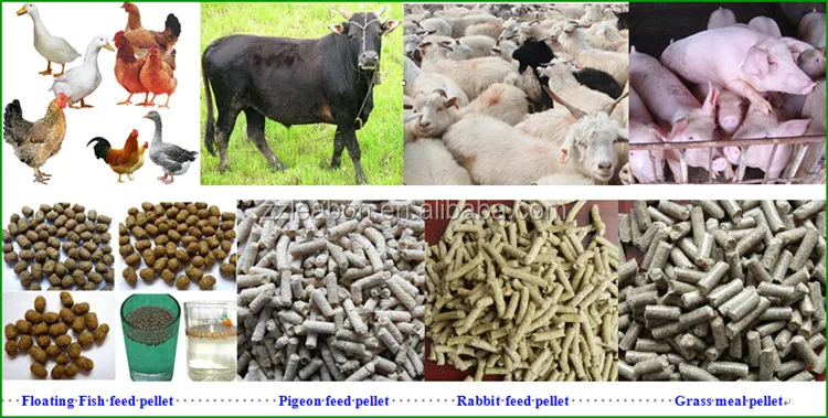 Easy Storage Livestock And Poultry Feed Pellet Animal Feed Pellet Plant Buy Animal Feed Pellet Plant Animal Feed Pellet Plant Animal Feed Pellet Plant Product On Alibaba Com