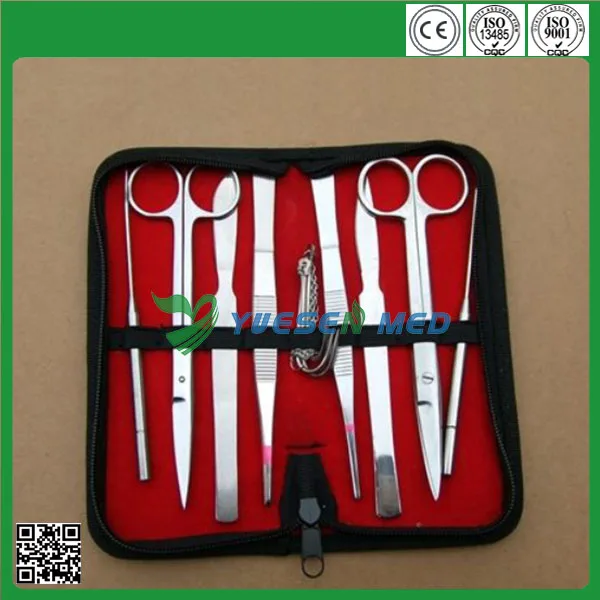 Veterinary Surgical Instruments High Quality Animal Small Animal