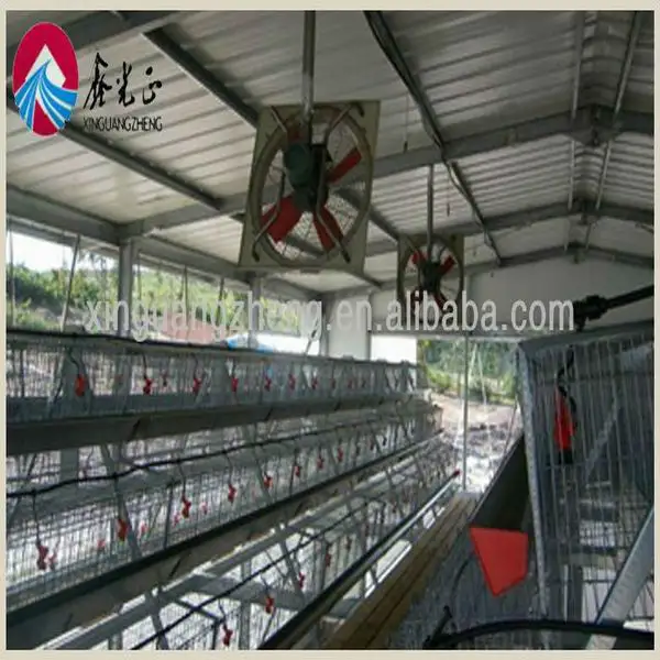 prefabricated cheap egg chicken house design for layers