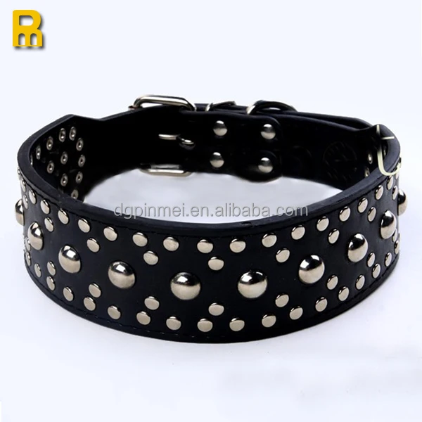 special dog collars