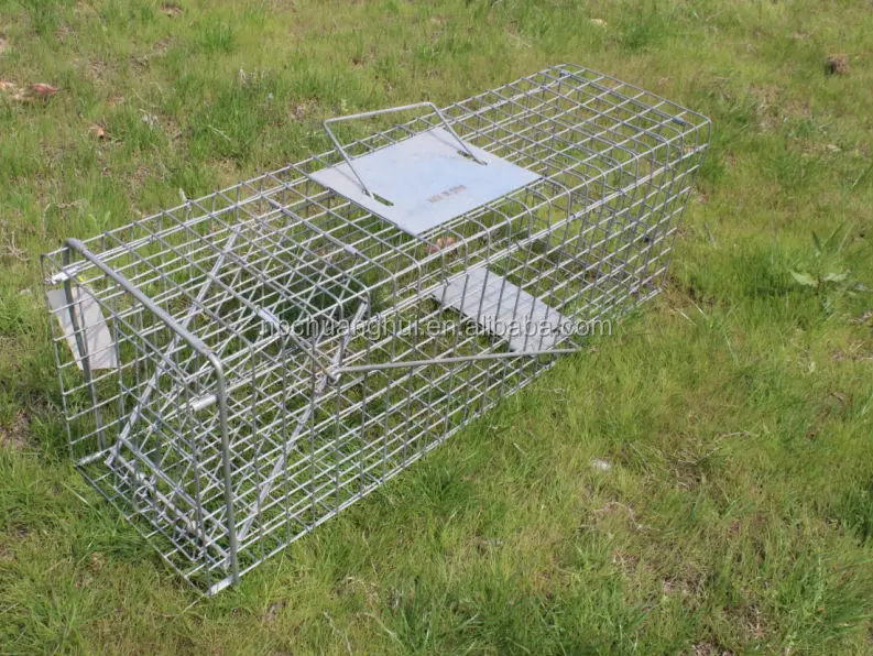 Collapsible Slide Fox Cage Trap Hd56173161*18*18cm - Buy Fox Cage Trap 