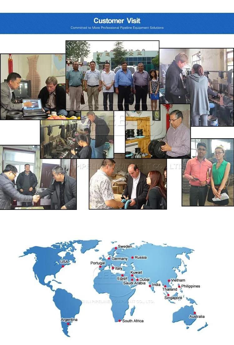 Customer visit of Generator vibration isolators hvac