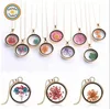 YWYH005 RDT Wholesale Korean Electroplating Alloy Necklace with Multicolored Specimen Plants Dried Flowers Round Glass Pendant