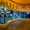 PG Custom Wall Mounted Acrylic Fish Tank Aquarium