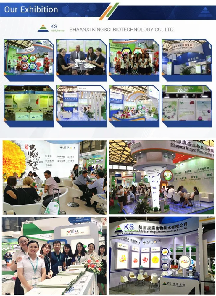 paste-pic-dp_uuid_8tynj