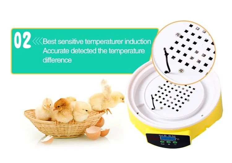 Hhd High Hatching Rate Automatic Quail Egg Incubators For Hatching Eggs ...