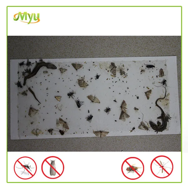 stong adhesiveglue mouse rat catch plate rat traps sticky boards