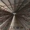 Cheap chicken cage for sale in philippines market