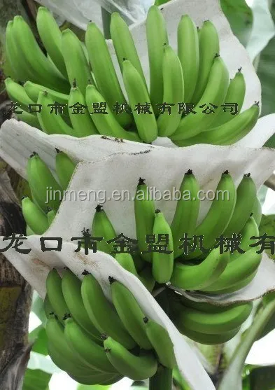 1284026015815_hk-rfq-web2_75722