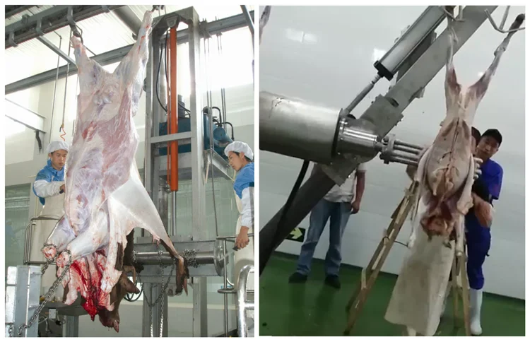 Kosher beef and mutton cutting machine butcher slaughterhouse