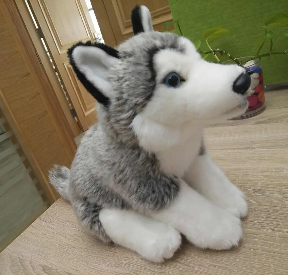 blue magic husky stuffed toy