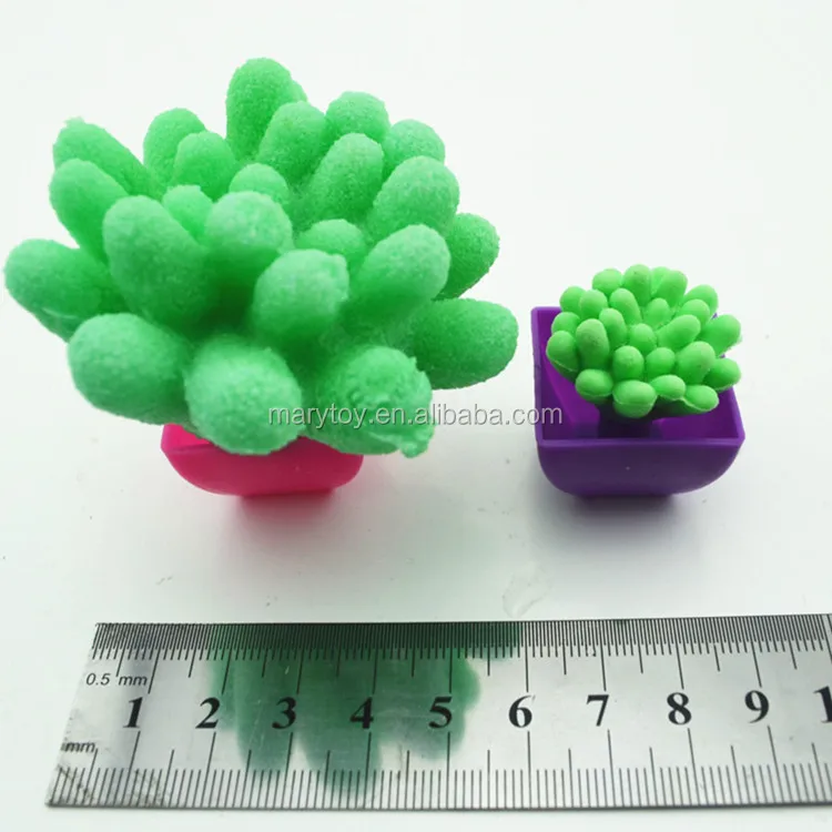 Magic Toys Novelty Growing Plants Toys For Kids Buy Growing Plants