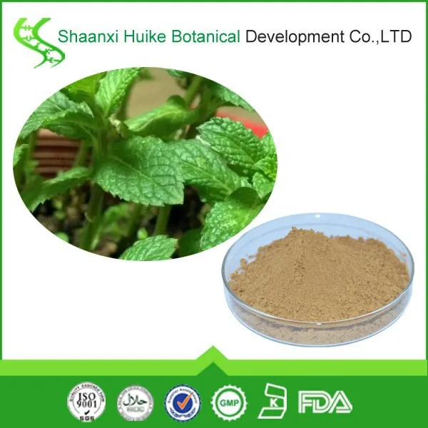 homemade peppermint extract/menthol/natural mentha piperita leaf