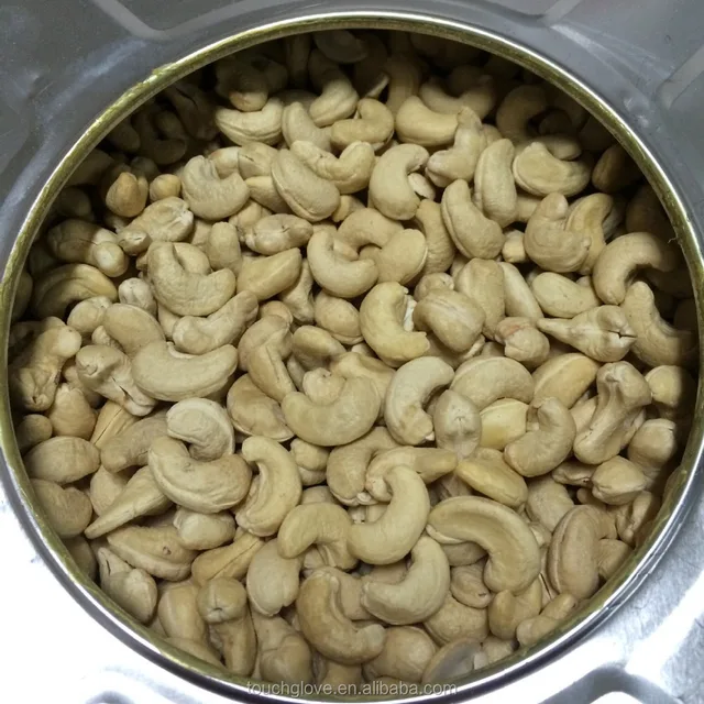 cashew nut fruits