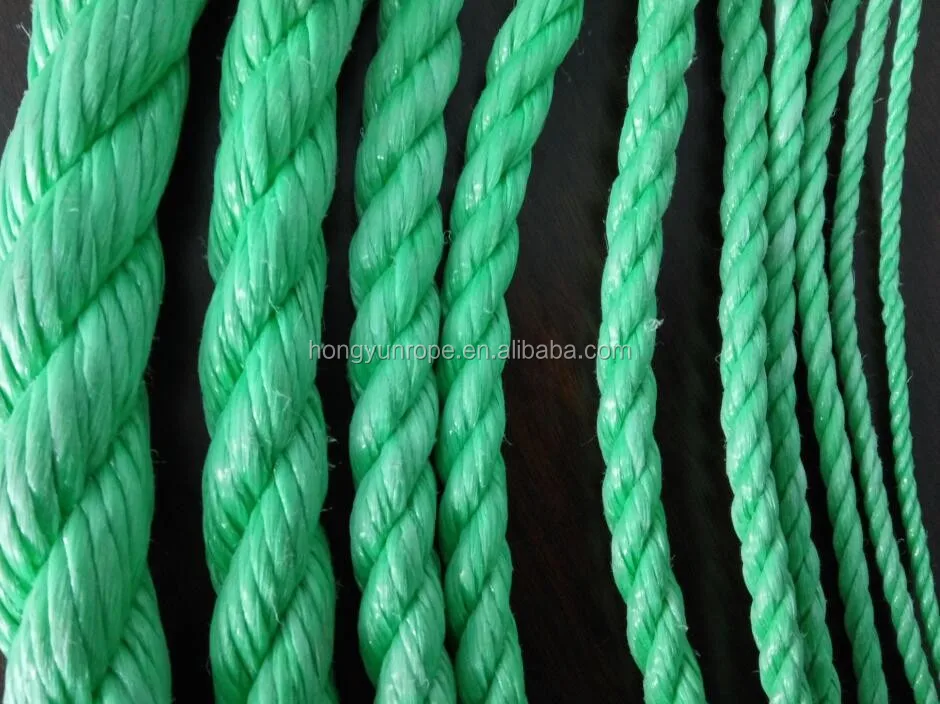 PP Danline rope 