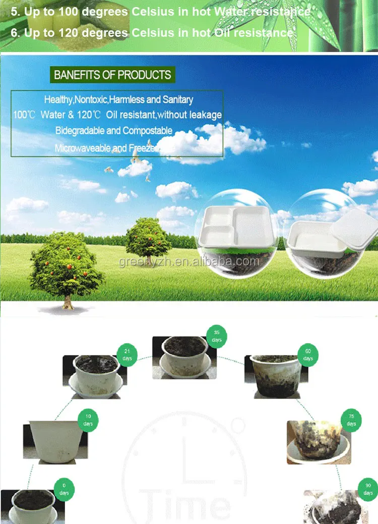 Biodegradable Disposable Tableware Paper Dishes Sugarcane Bagasse Food Box