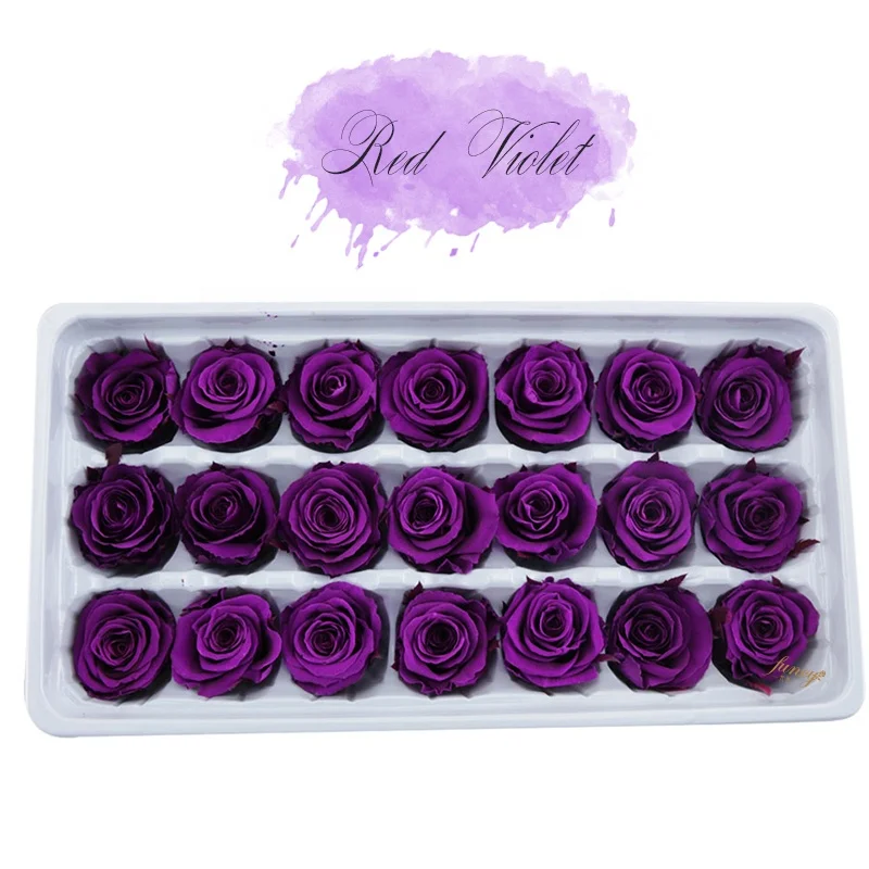 Preserved Real Immortal Roses Preserved Flowers Valentine Day Gift Buy Preserved Roses