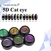 Francheska 5D Cat Eye Gel Polish Effect Color Magnetic Cat Eye Gel Nail Polish