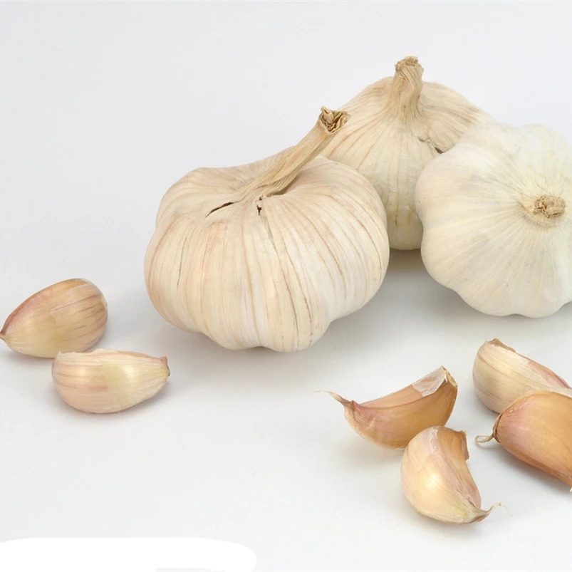 Garlic (1).jpg