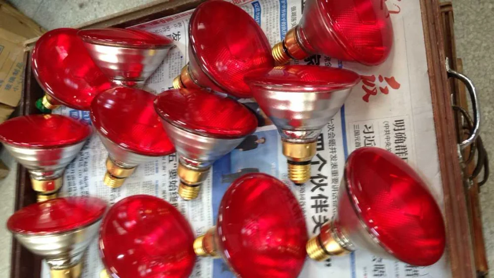 Infrared Heating Bulbs 250w 200v Wholesale Par38 Infrared Heat Lamp Ray