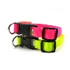 Accessories Wholesale China 100% Nylon Webbing LED Collar For Cute Cat