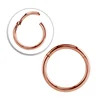 Rose Gold PVD Titanium Hinged Segment Ring