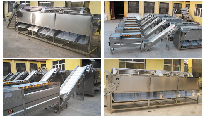 Stainless Steel Chestnut Grading Sorter Walnut Sorting Machine - Buy ...